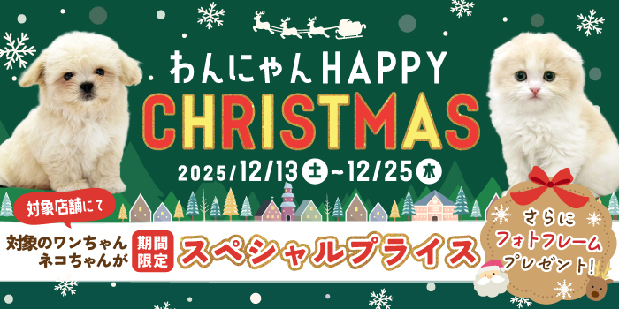 ���ˤ��ϥåԡ����ꥹ�ޥ���������Ź��